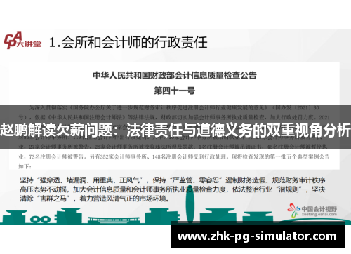 赵鹏解读欠薪问题：法律责任与道德义务的双重视角分析