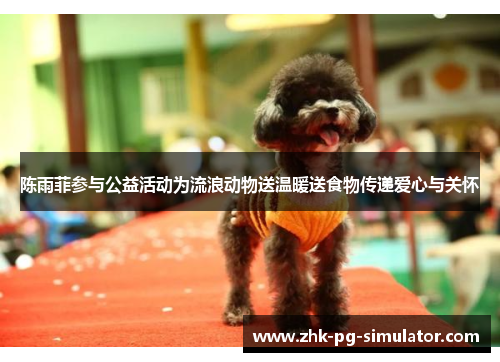 陈雨菲参与公益活动为流浪动物送温暖送食物传递爱心与关怀