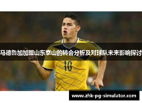 马德鲁加加盟山东泰山的转会分析及对球队未来影响探讨